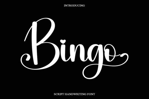 Bingo: A Friendly Handwritten Font for Editorial Design