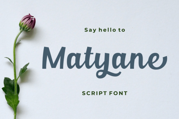 Matyane: The Perfect Script Typeface for Modern Brand Identity