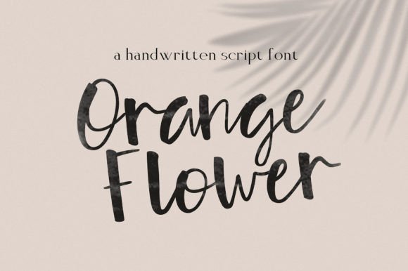 Orange Flower: The Script Amp Typeface for Scroll-Stopping Brand Content