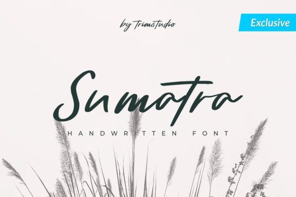 Sumatra: The Handwritten Typeface That Elevates Your Craft Brand
